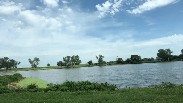 Rocky Pond Campground (7)